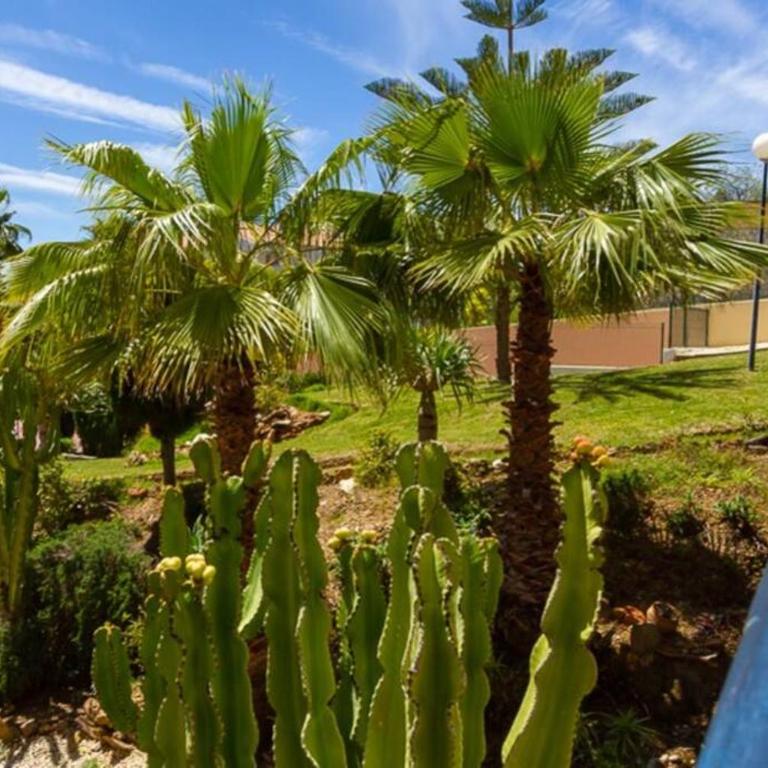 139-Beautiful Modern Apartment in La Cala de Mijas - Apartamento de 3 dormitorios - 30