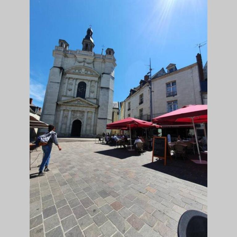 Appartement Loire et Château, Hyper Centre, vue Loire, Linge inclus, 3ème étage - Appartement 1 Chambre - 32