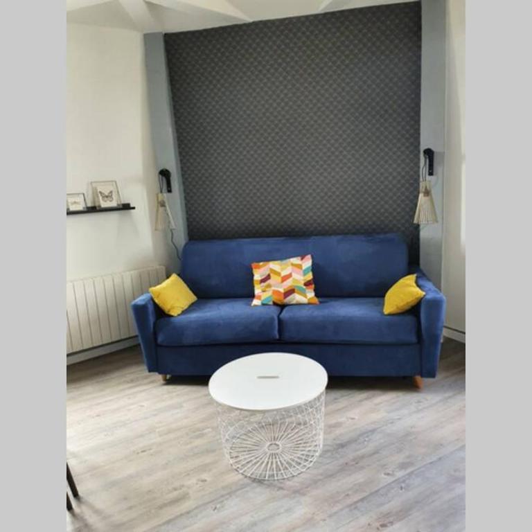 Appartement Loire et Château, Hyper Centre, vue Loire, Linge inclus, 3ème étage - Appartement 1 Chambre - 20