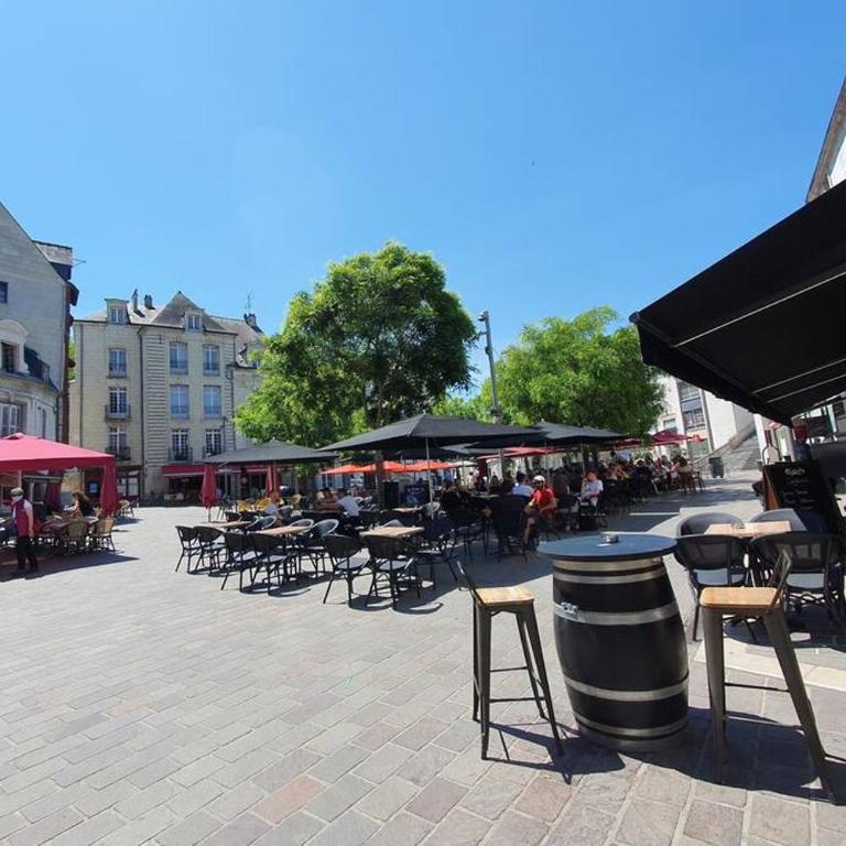 Appartement Loire et Château, Hyper Centre, vue Loire, Linge inclus, 3ème étage - Appartement 1 Chambre - 33