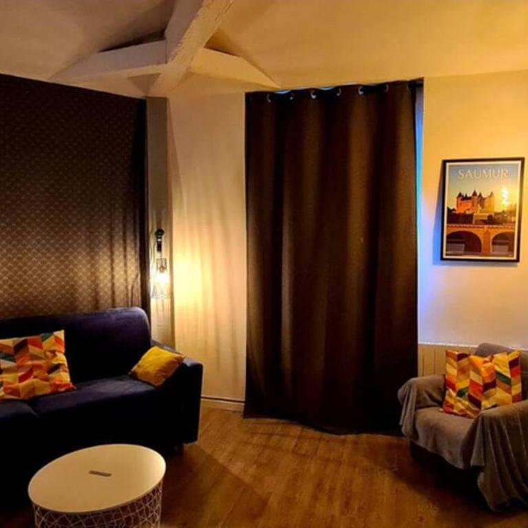 Appartement Loire et Château, Hyper Centre, vue Loire, Linge inclus, 3ème étage - Appartement 1 Chambre - 24