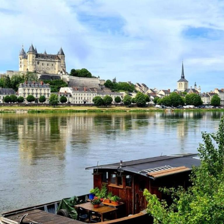 Appartement Loire et Château, Hyper Centre, vue Loire, Linge inclus, 3ème étage - Appartement 1 Chambre - 35