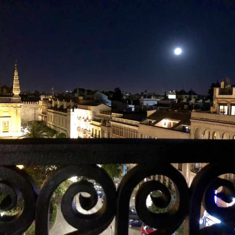 Penthouse with Large Private Terrace with Views Cathedral - Apartamento Ático - 12