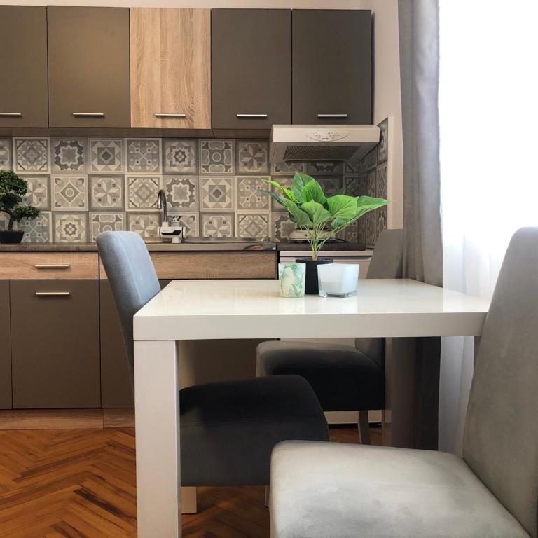 Apartman Mijailović 2 - Apartman sa 1 Spavaćom Sobom - 5