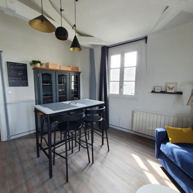 Appartement Loire et Château, Hyper Centre, vue Loire, Linge inclus, 3ème étage - Appartement 1 Chambre - 25