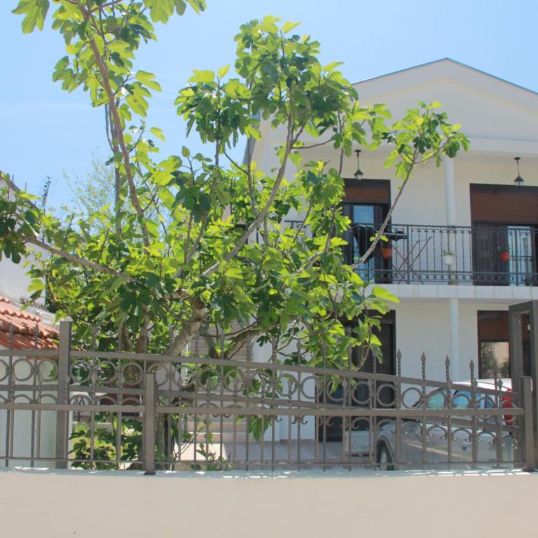 Apartments Aneta - Apartman - Prizemlje - 6