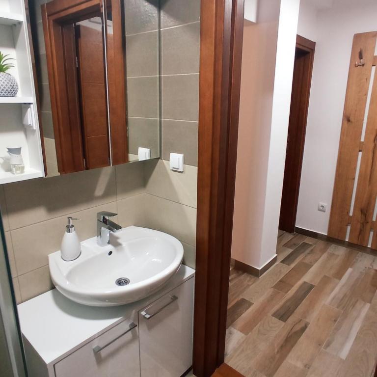 Apartman Zlatibor Philautia - Apartman sa 1 Spavaćom Sobom - 21