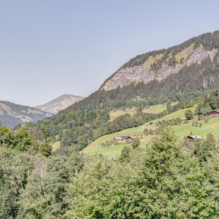 Le cœur des Evettes - Apt aux pieds des pistes - Appartement 1 Chambre - 13