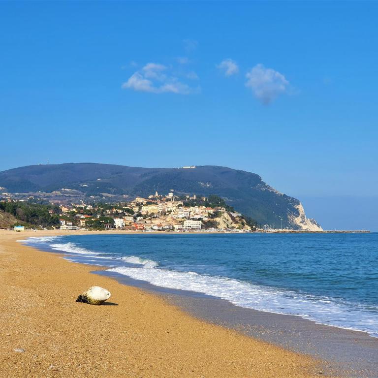 La Finestra sul Conero Apartments - Studio Apartment - 13