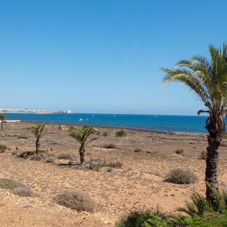 Torrevieja junto Cala Ferris y Punta Prima - Apartamento de 2 dormitorios - 3