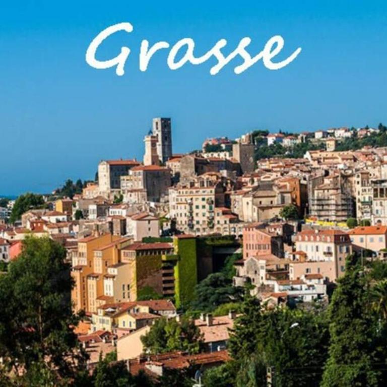 La loveroom bdsm grassoise "La chambre des désirs" - Apartamento de 1 dormitorio - 21