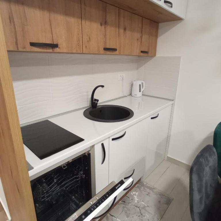 Apartman Zlatibor Philautia - Apartman sa 1 Spavaćom Sobom - 19