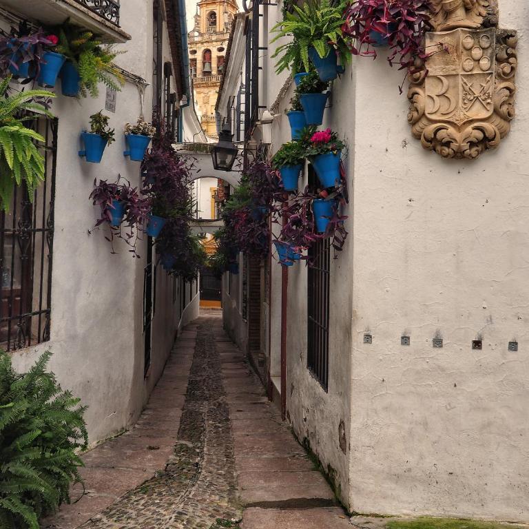 Calle San Basilio - Patios. Aparcamiento gratis - Apartamento de 2 dormitorios - 23