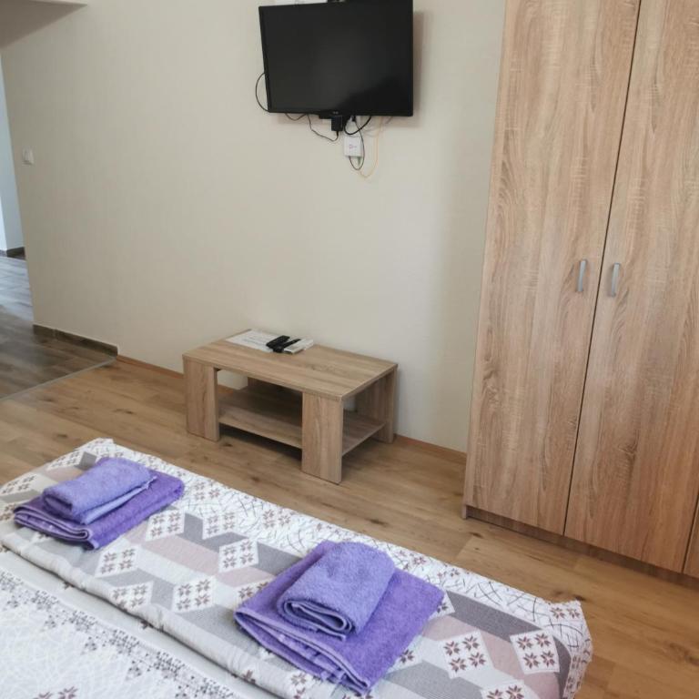 Apartmani Manila, Vrnjačke terme-popust, SPA centar Pegaz-popust, garažno mesto - Apartman sa 1 Spavaćom Sobom - 9