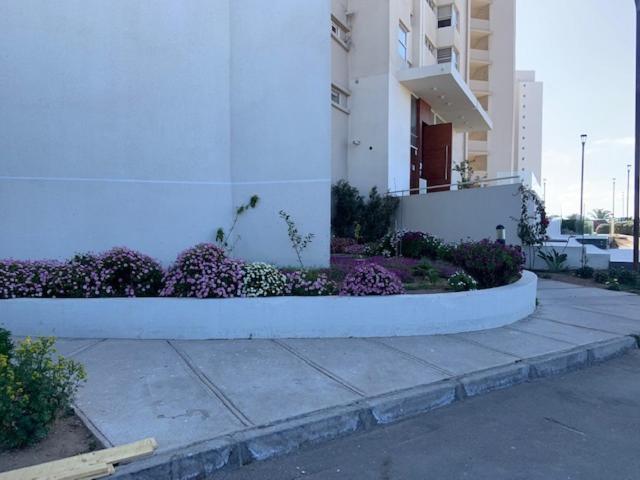 Departamentos Laguna del mar - Apartment with Sea View - 89