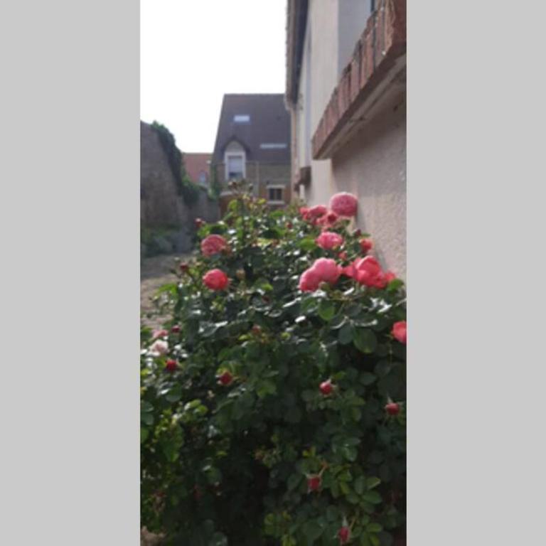La Cour Pavée - Maison 3 Chambres - 10