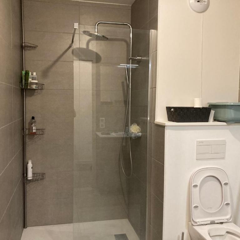 Appartement Muse proche Gare - Appartement 1 Chambre - 14