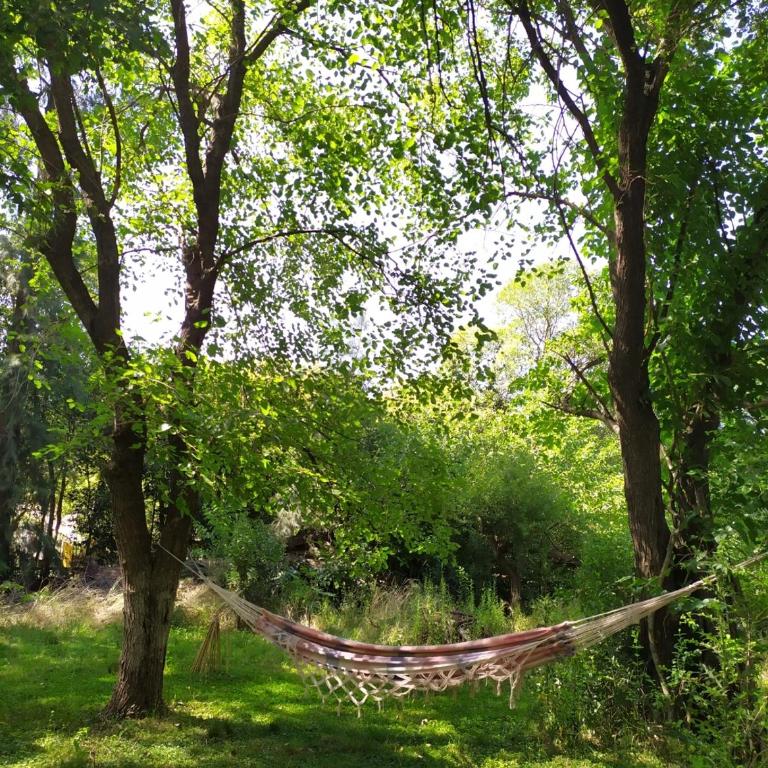 La Carmencita casa de campo, Manzanares, Pilar - Casa de 2 dormitorios - 45