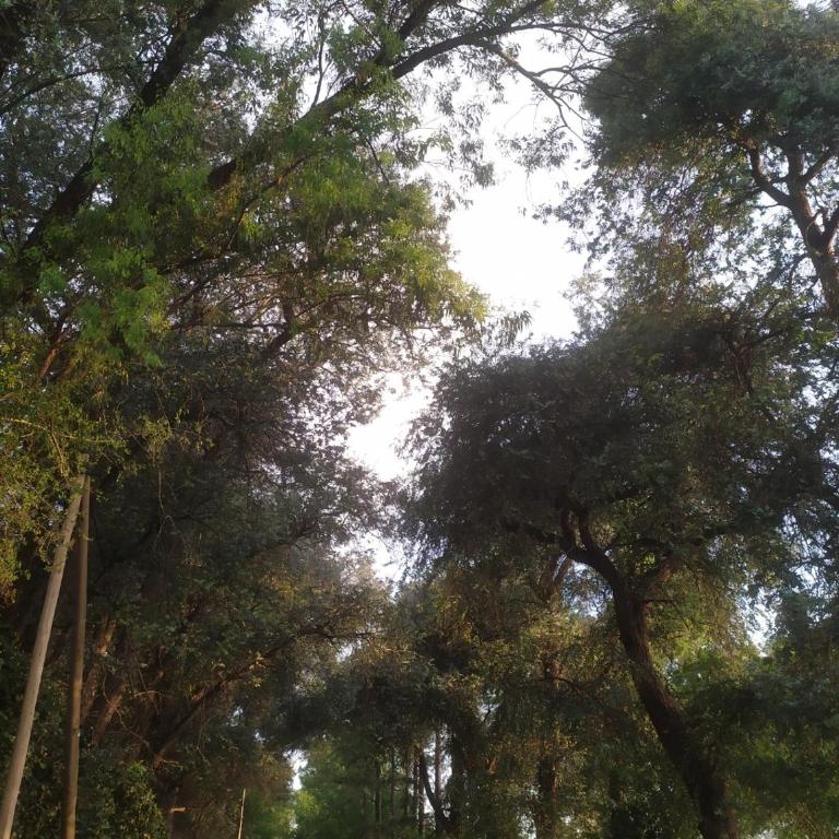 La Carmencita casa de campo, Manzanares, Pilar - Casa de 2 dormitorios - 56