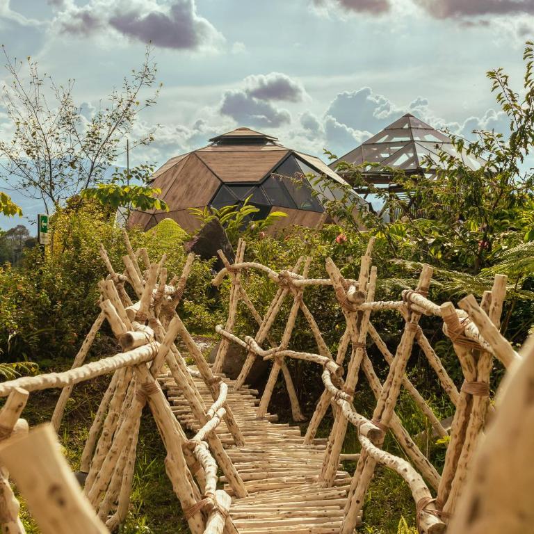 Nacimiento Glamping - Casa - 5