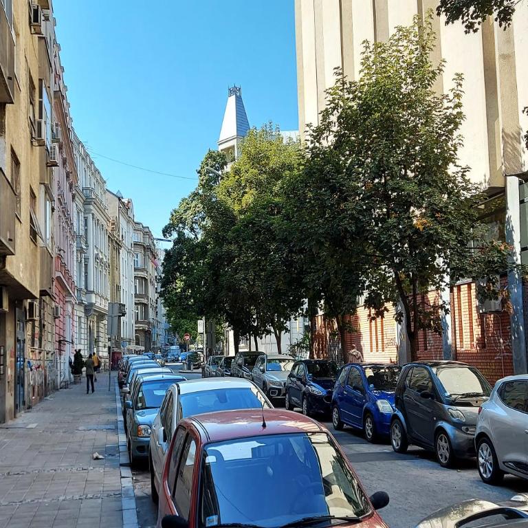 Studio Paradise Forest - Studio Apartman - 11