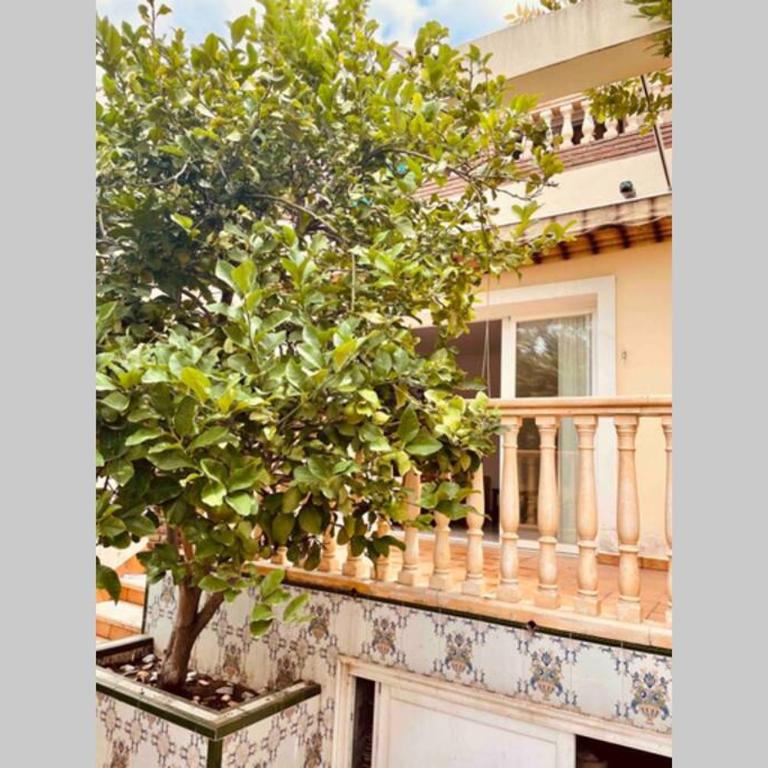 Apartamento familiar 2 habitaciones - Terrazas-WiFi - Apartment mit 2 Schlafzimmern - 35