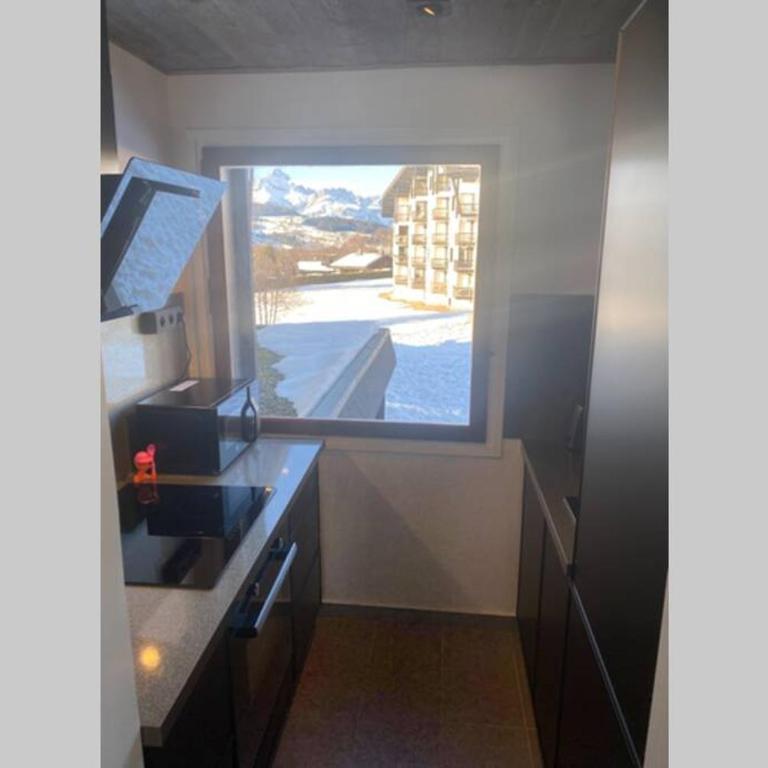 Le FLOCON du Mont Darbois classé 3 étoiles - Appartement 1 Chambre - 17