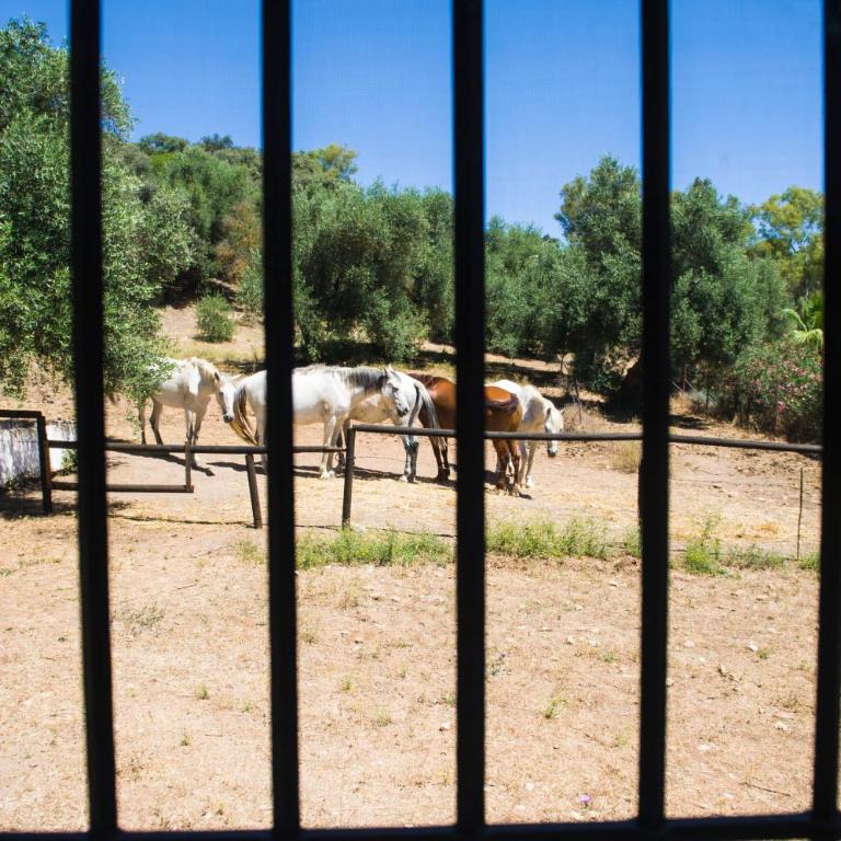 Casa Abanto - Casa de 5 dormitorios - 25