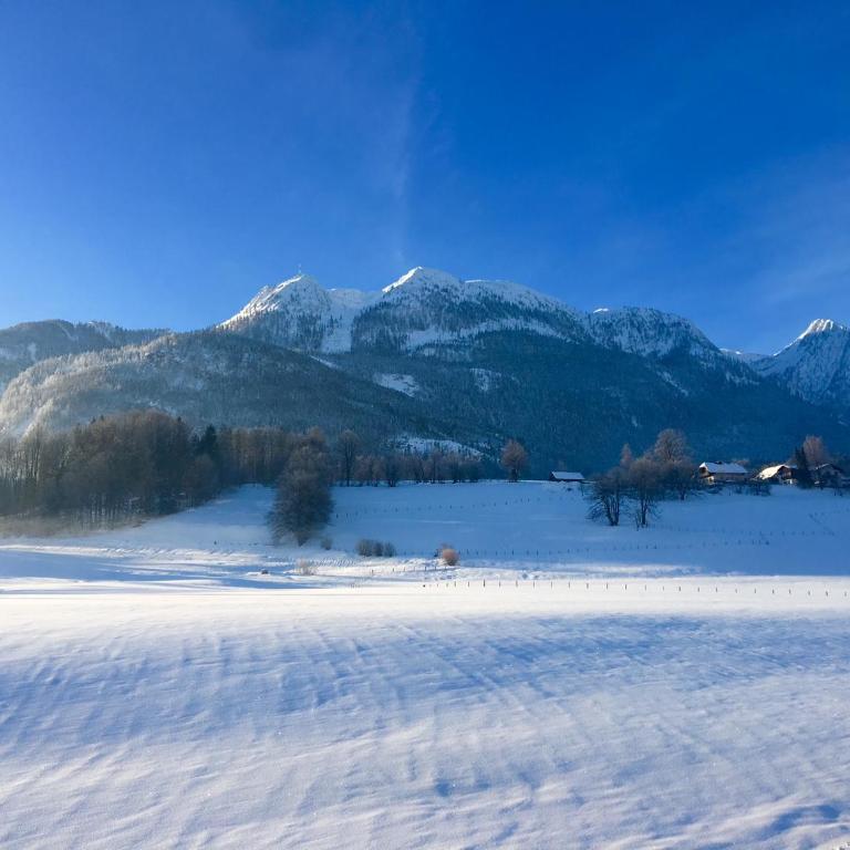 Auszeit Salzkammergut Appartements - Apartment mit 1 Schlafzimmer - 8