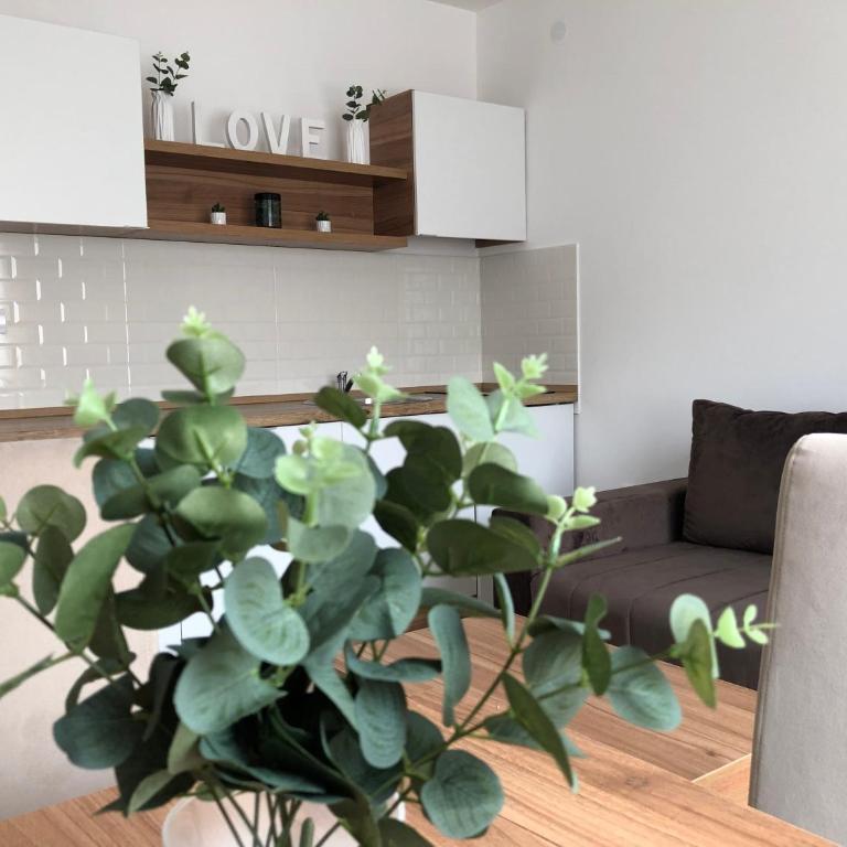 Apartmani Tesla - Apartman sa Pogledom na Planinu - 18