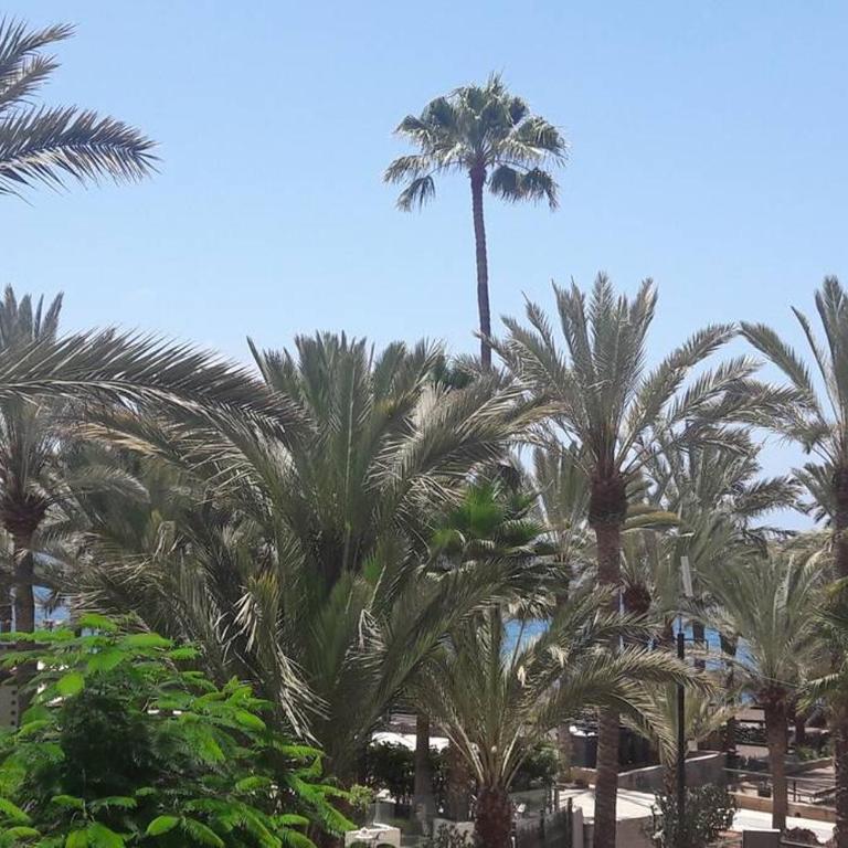 Guayero, Bel appartement à 50m de la mer - Apartamento de 1 dormitorio - 4