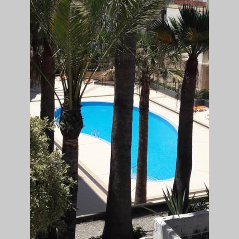 Guayero, Bel appartement à 50m de la mer - Apartamento de 1 dormitorio - 3