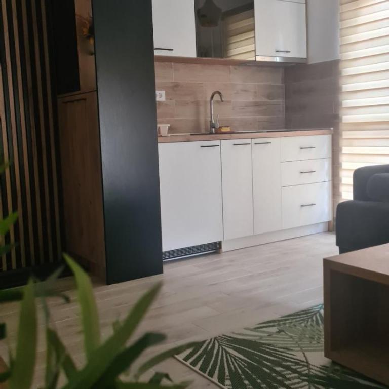 Apartmani PART - Apartman sa 1 Spavaćom Sobom - 17