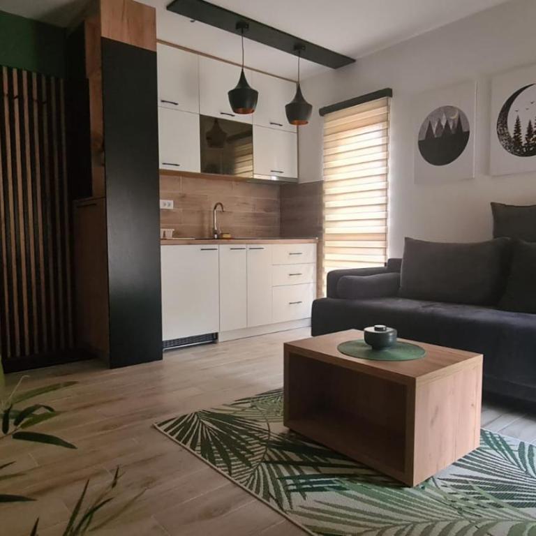Apartmani PART - Apartman sa 1 Spavaćom Sobom - 13