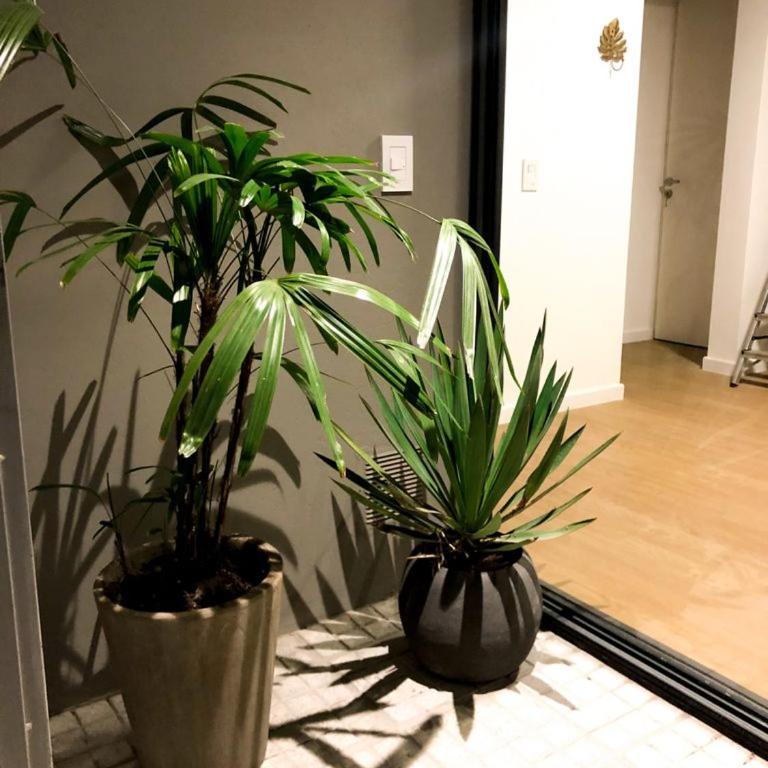 Cilveti 468 departamento con cochera, excelente ubicación - Apartamento de 1 dormitorio - 54