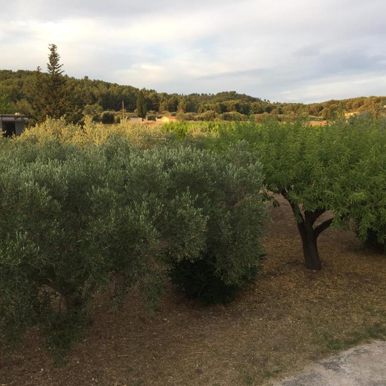 Il y a le Soleil, la Campagne et la Mer …1 - Appartamento con 2 Camere da Letto - 14