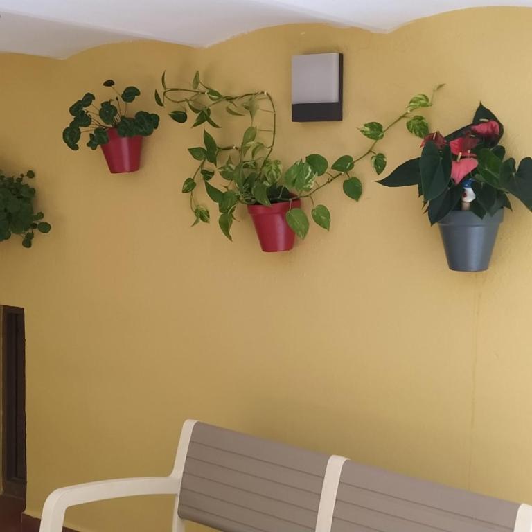 RCBCALEROS - Apartamento - 2 niveles - 12