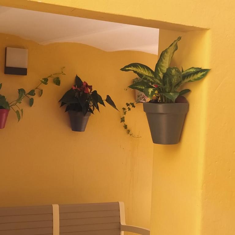 RCBCALEROS - Apartamento - 2 niveles - 13