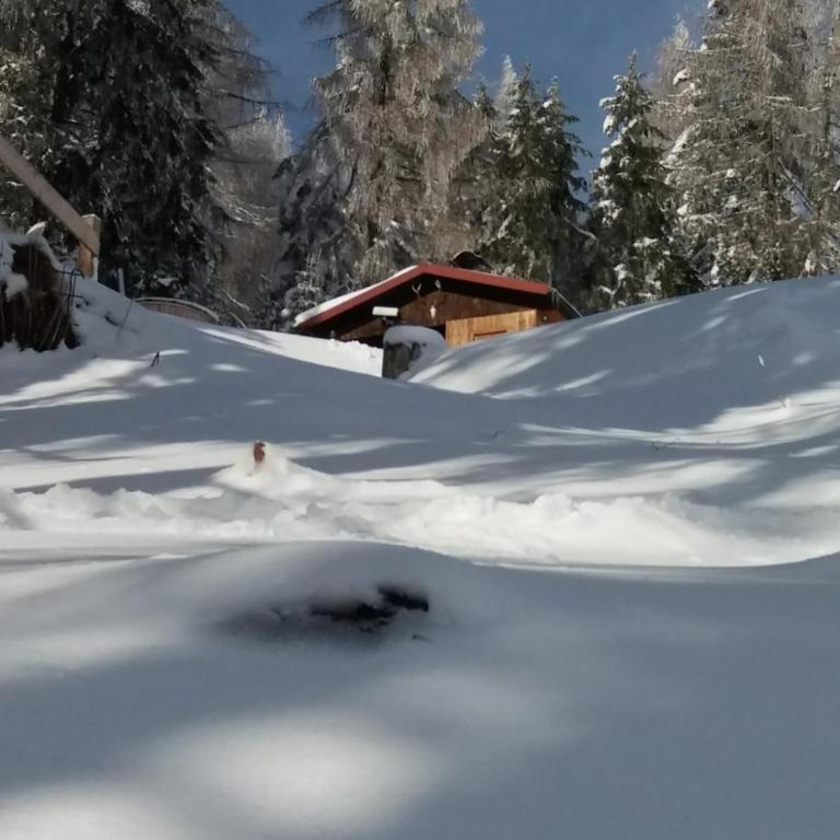 Chalet Petit - Chalet mit 1 Schlafzimmer - 45