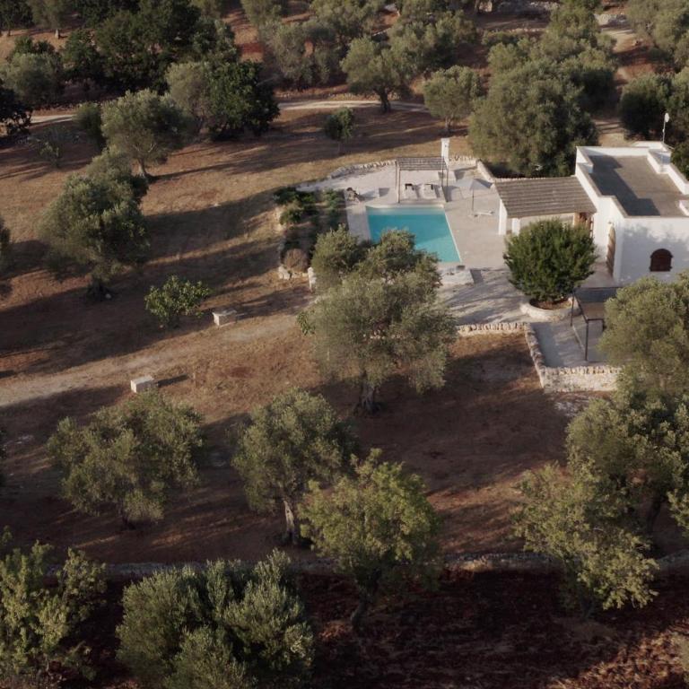 Cisternino Villa in Olive Groove - Villa con Piscina Privata - 24