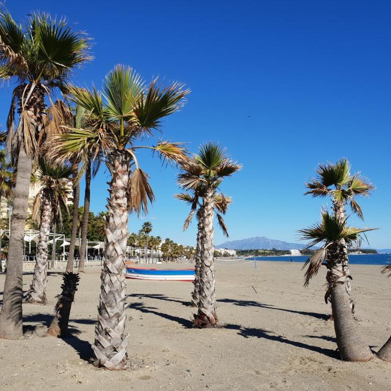 Escape to Estepona - Two-Bedroom Apartment - 41