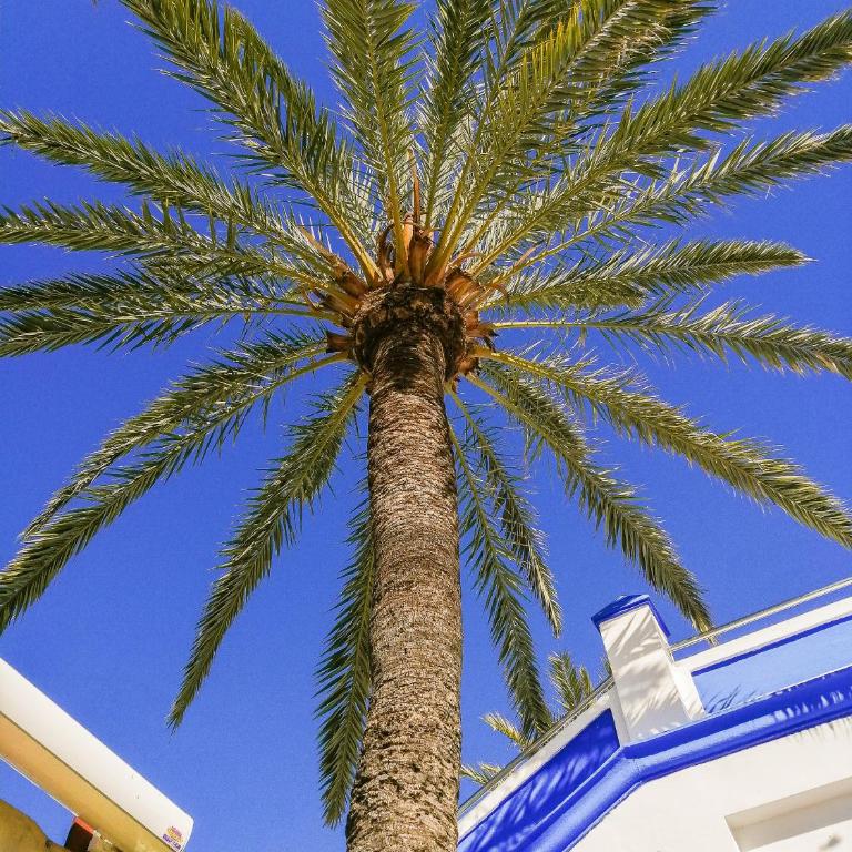 Escape to Estepona - Two-Bedroom Apartment - 47