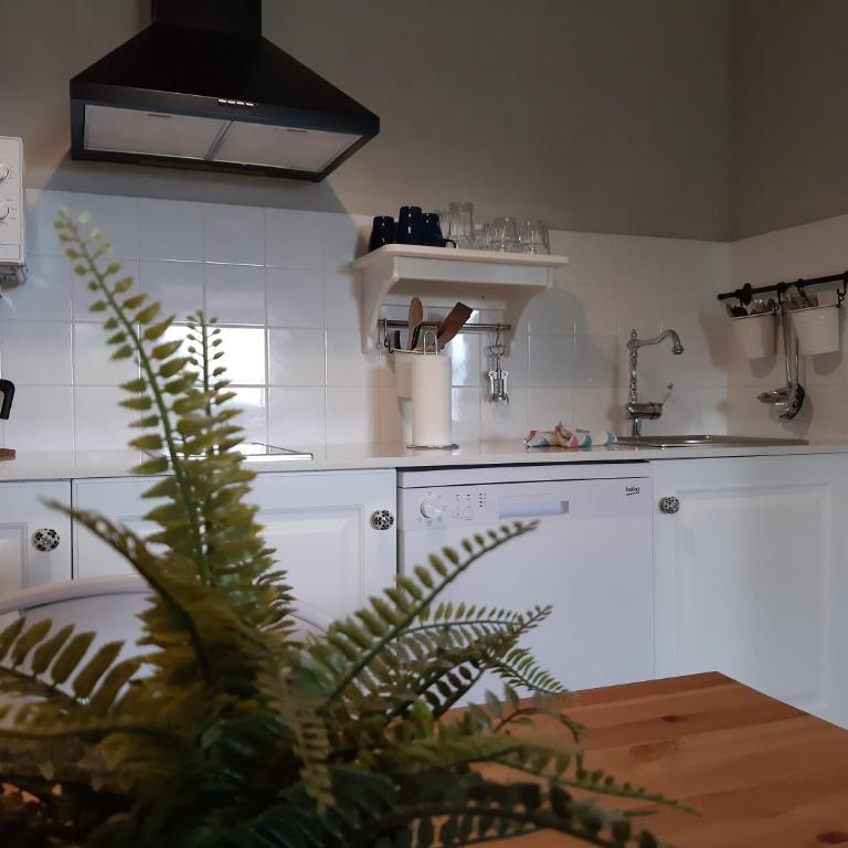 Apartamentos El Llanin - Apartamento - Planta baja - 1