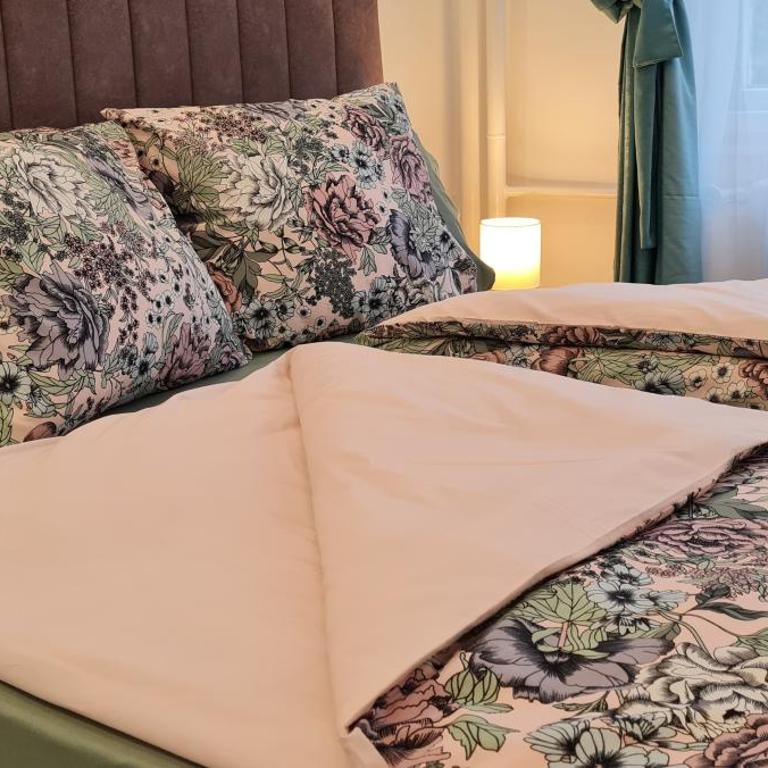 OLIVERA APARTMENT - Apartman sa 1 Spavaćom Sobom - 11