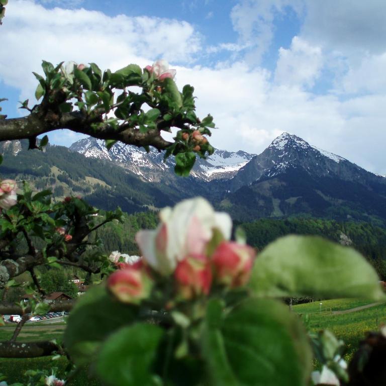 Hotel Alpenblick - Doppelzimmer - 4