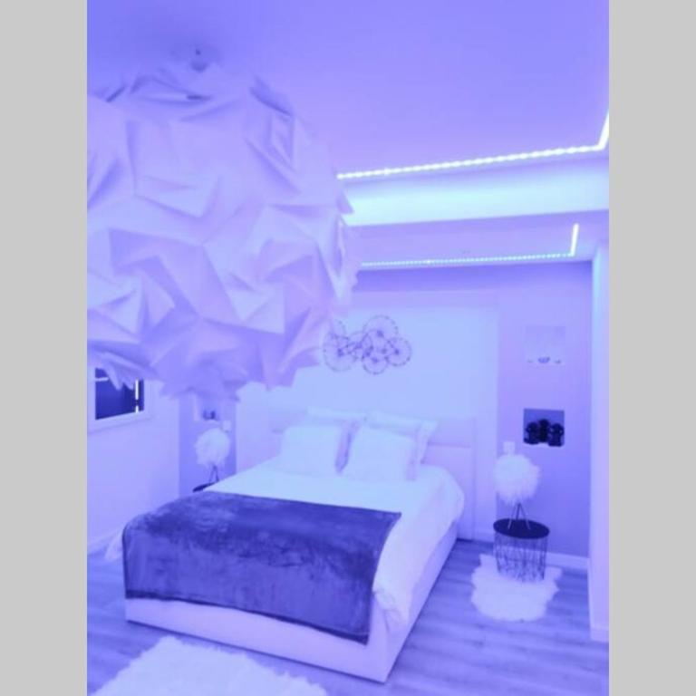 Nid d'amour baignoire/jacuzzi - Appartement 1 Chambre - 10