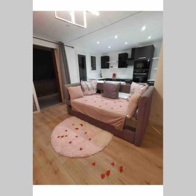Nid d'amour baignoire/jacuzzi - Appartement 1 Chambre - 14