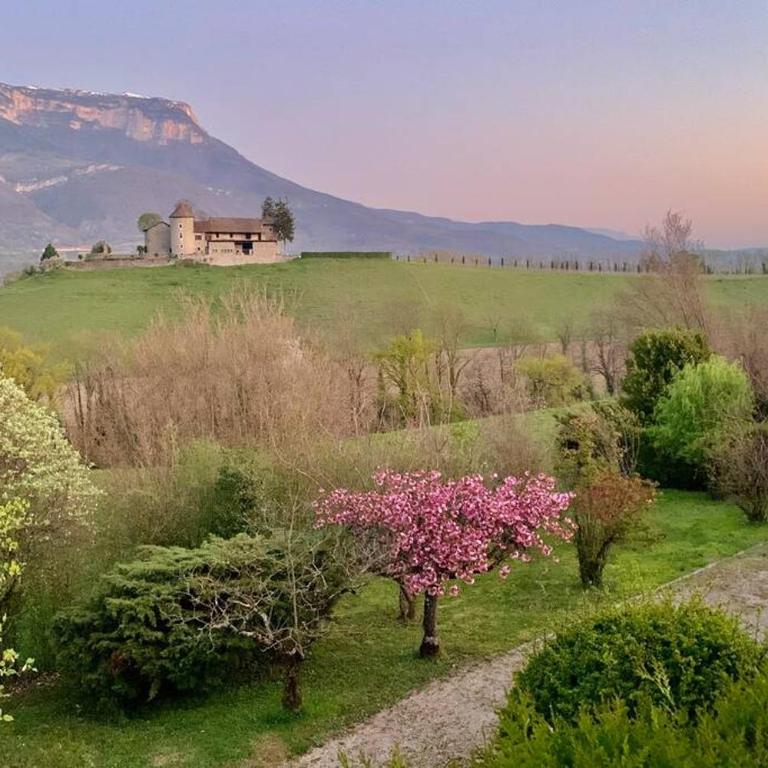 Au calme avec vue magnifique à Saint Maximin - Appartement 1 Chambre - 1