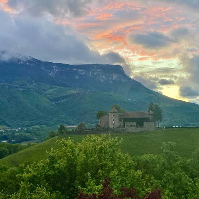 Au calme avec vue magnifique à Saint Maximin - Appartement 1 Chambre - 5
