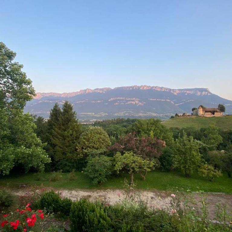Au calme avec vue magnifique à Saint Maximin - Appartement 1 Chambre - 8